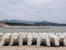 China Zhejiang Ocean Sports Center (Yafan Center) Breakwater Project