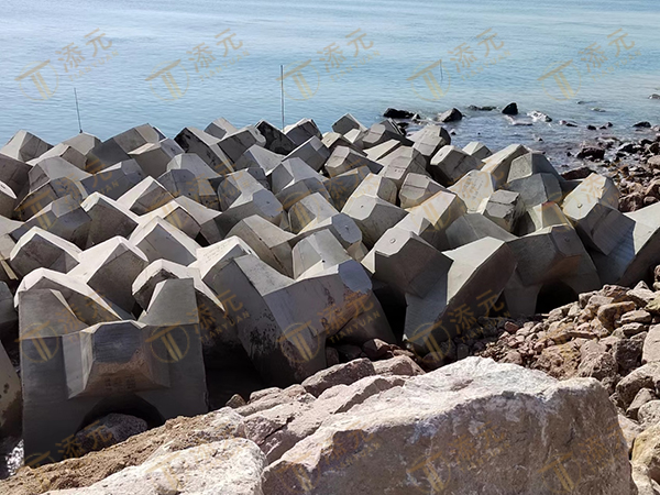 扭王字块现场安装.jpg 扭王字块现场安装.jpg