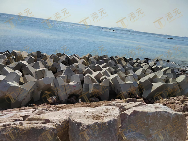 扭王字块现场安装(1).jpg 扭王字块现场安装(1).jpg