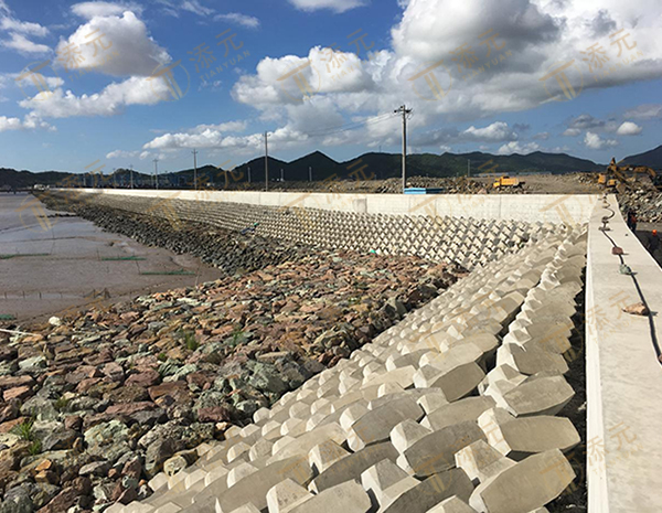 新建围堤段全貌(一).jpg 新建围堤段全貌(一).jpg