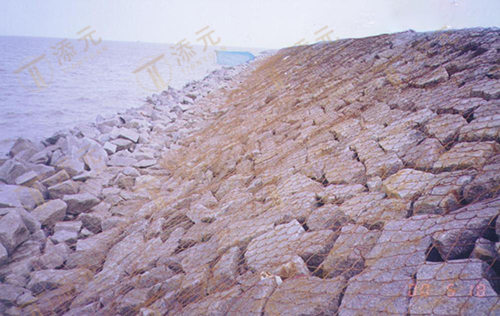 2020110309580687013.jpg