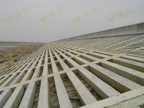 2003 南匯東灘堆積・埋立促進フェーズ IV プロジェクト セクション 1